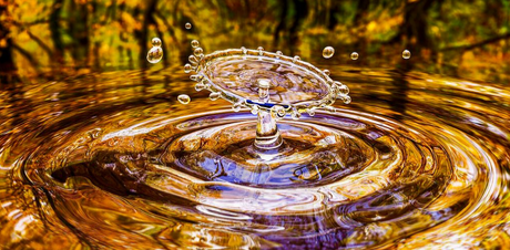 IMPARA A VIVERE NEL PRESENTE